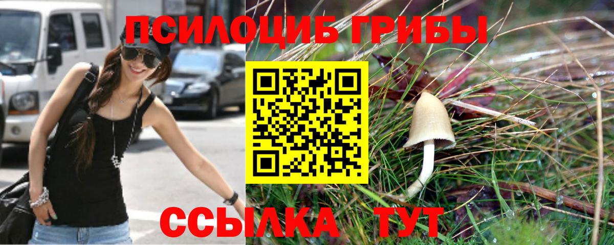 Галлюциногенные грибы MAGIC MUSHROOMS Алатырь