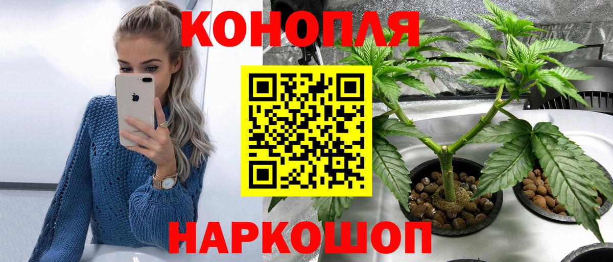 Канабис план Алатырь